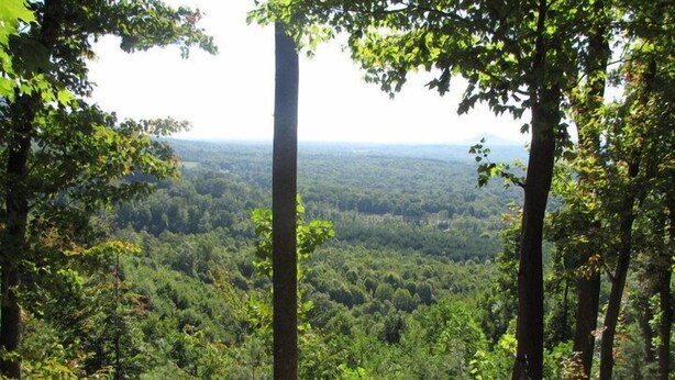 Una hamaca en un área boscosa con vista a un paisaje lejano.