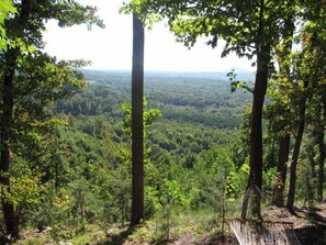 A hammock in a forested area with a view of a distant landscape.
