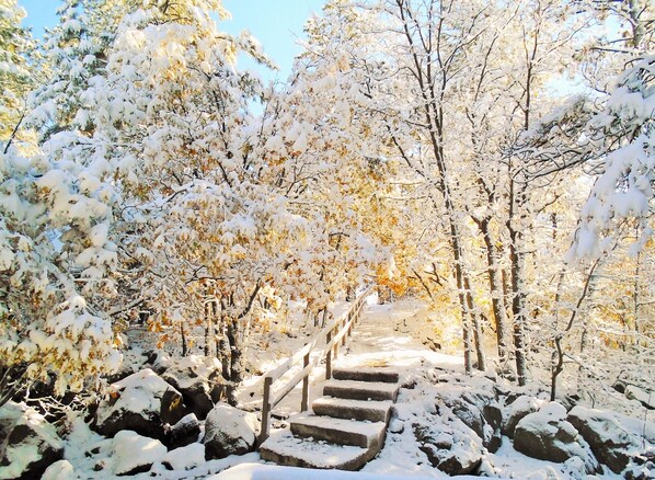 المنطقة المحيطة بالمنشأة