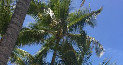 ON the Beach! Belle Roche At Oak Beach