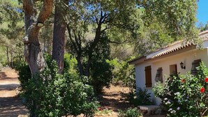 A garden with a large tree, a small building, and flowering plants. - PALOMBAGGIA VILLA AIR CONDITIONED 4 PERS less than 700 meters from the beach (Porto-Vecchio)
