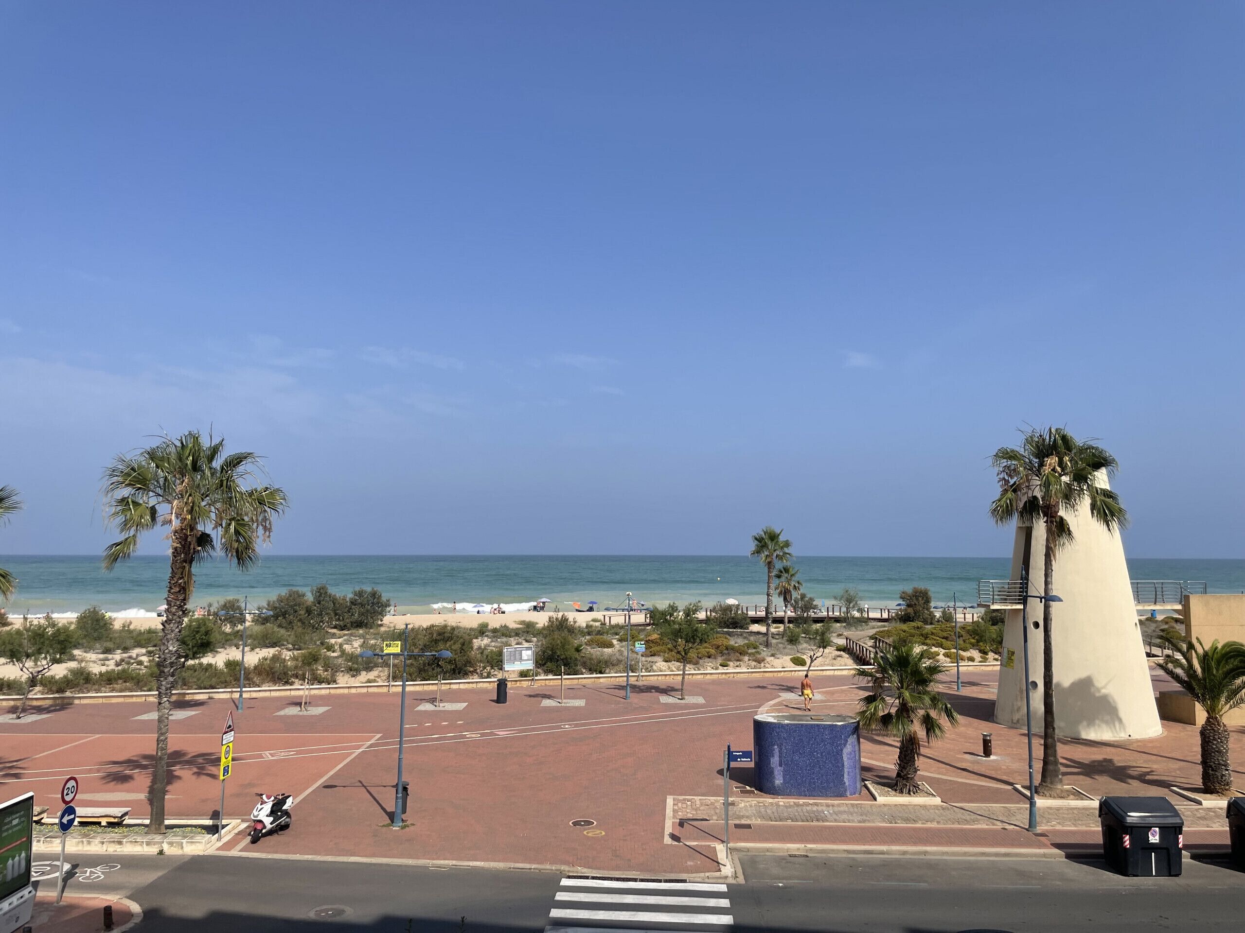 Blick auf einen Strand mit Palmen, wolkenlosem Himmel und ruhiger See.