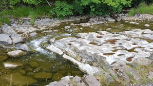 A natural stream with clear water flowing over rocks, surrounded by lush greenery. - Watergreens Farm, CA9 3LD  Self-Catering holiday Accommodation in Cumbria (Alston)