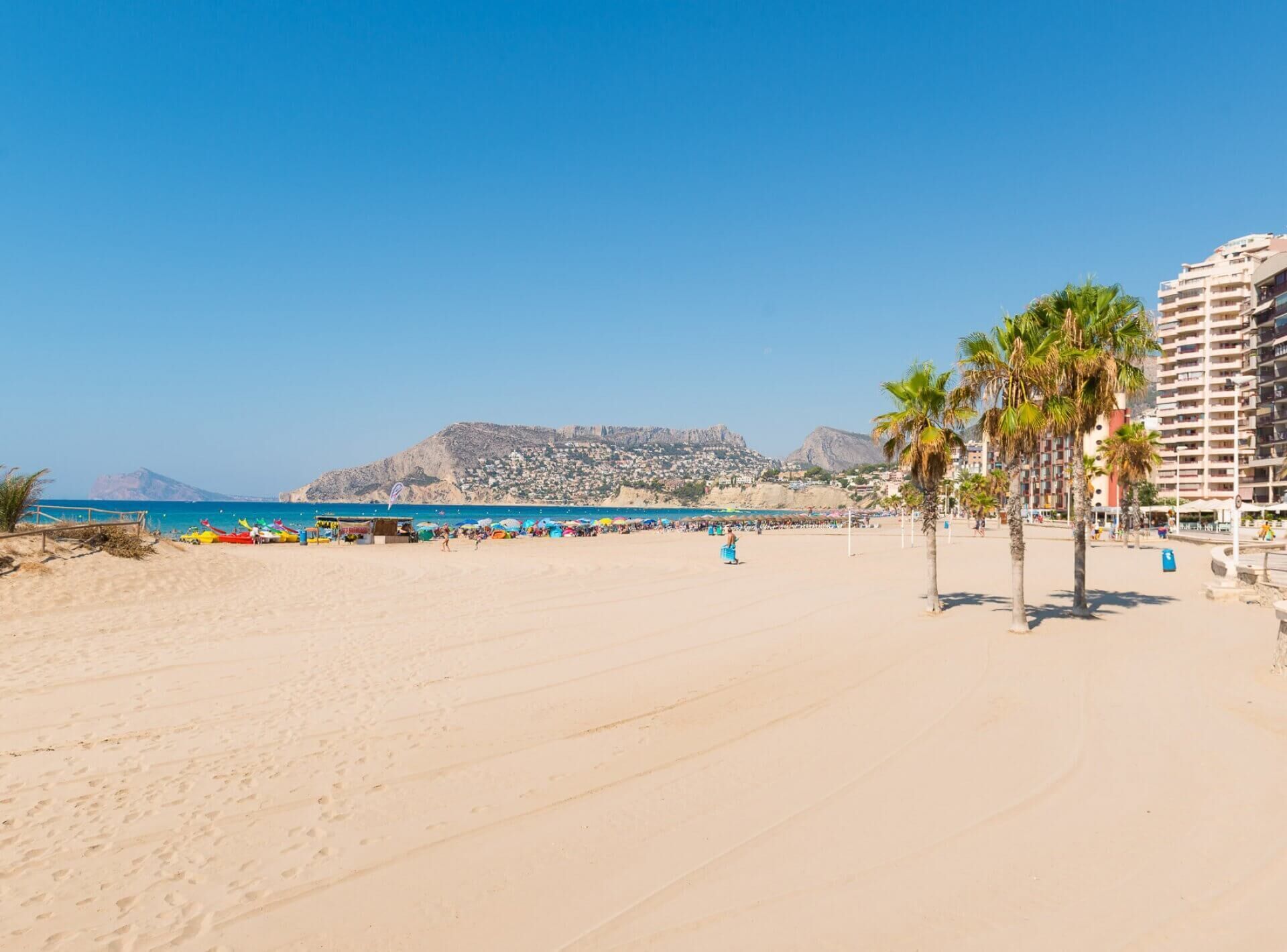 Une plage bordée de palmiers, un ciel dégagé et une montagne en arrière-plan.