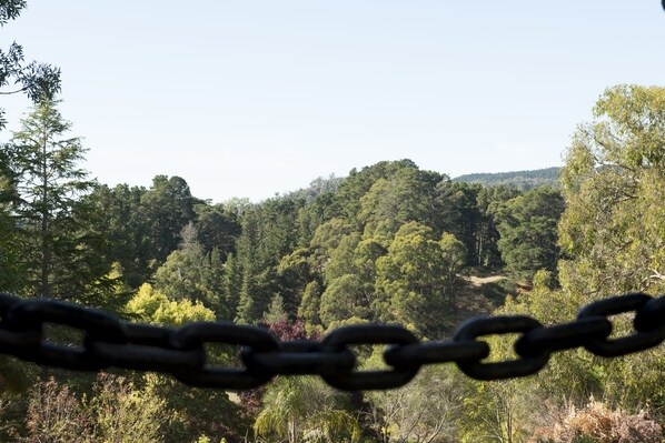 A chain-link fence with a view of a forested hillside.