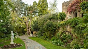 A garden pathway with a statue, lush greenery, and a stone wall with ivy. - The Manor Basket Range (Basket Range)