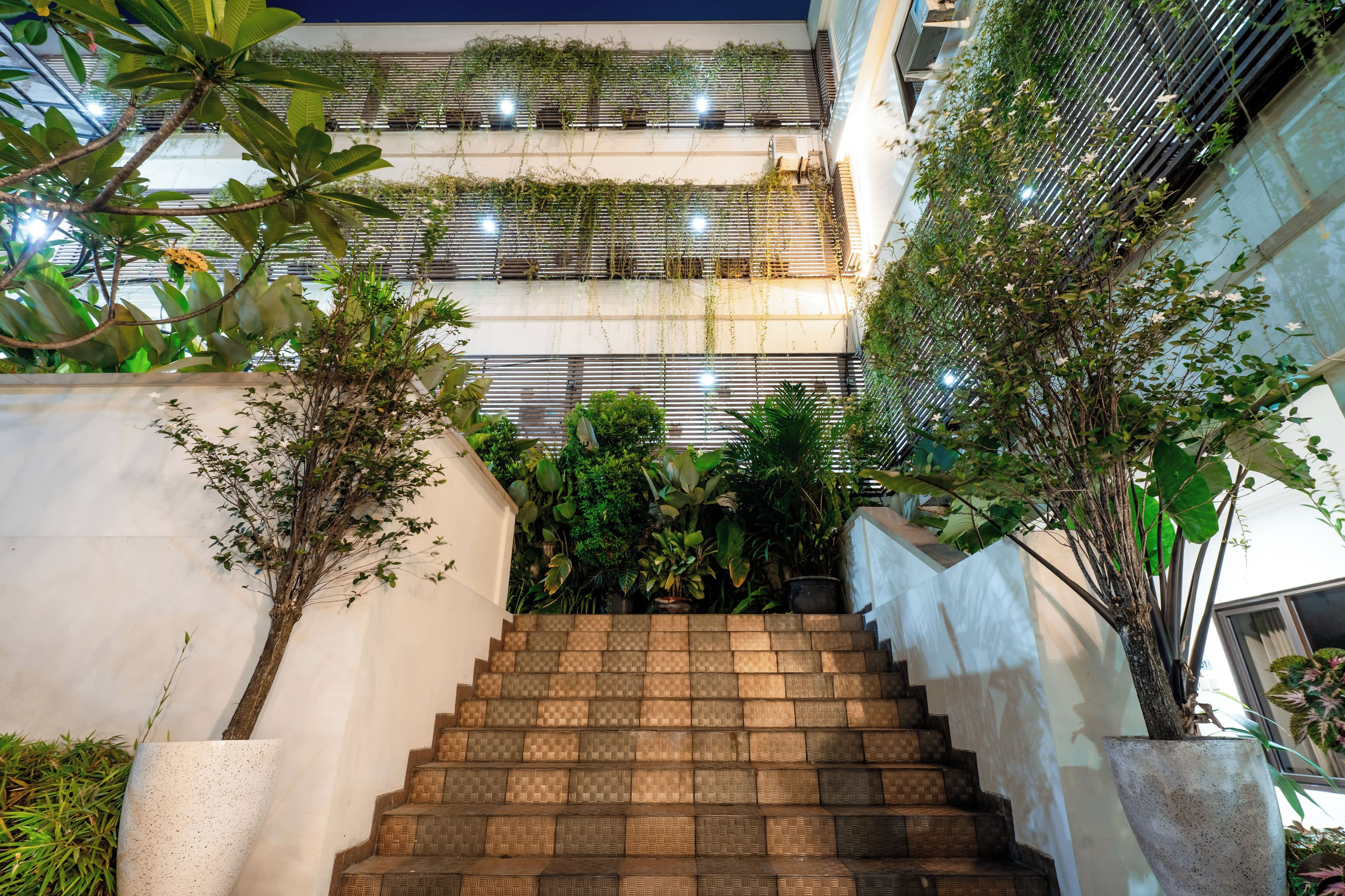 A staircase leading to a balcony with lush greenery and a white wall.