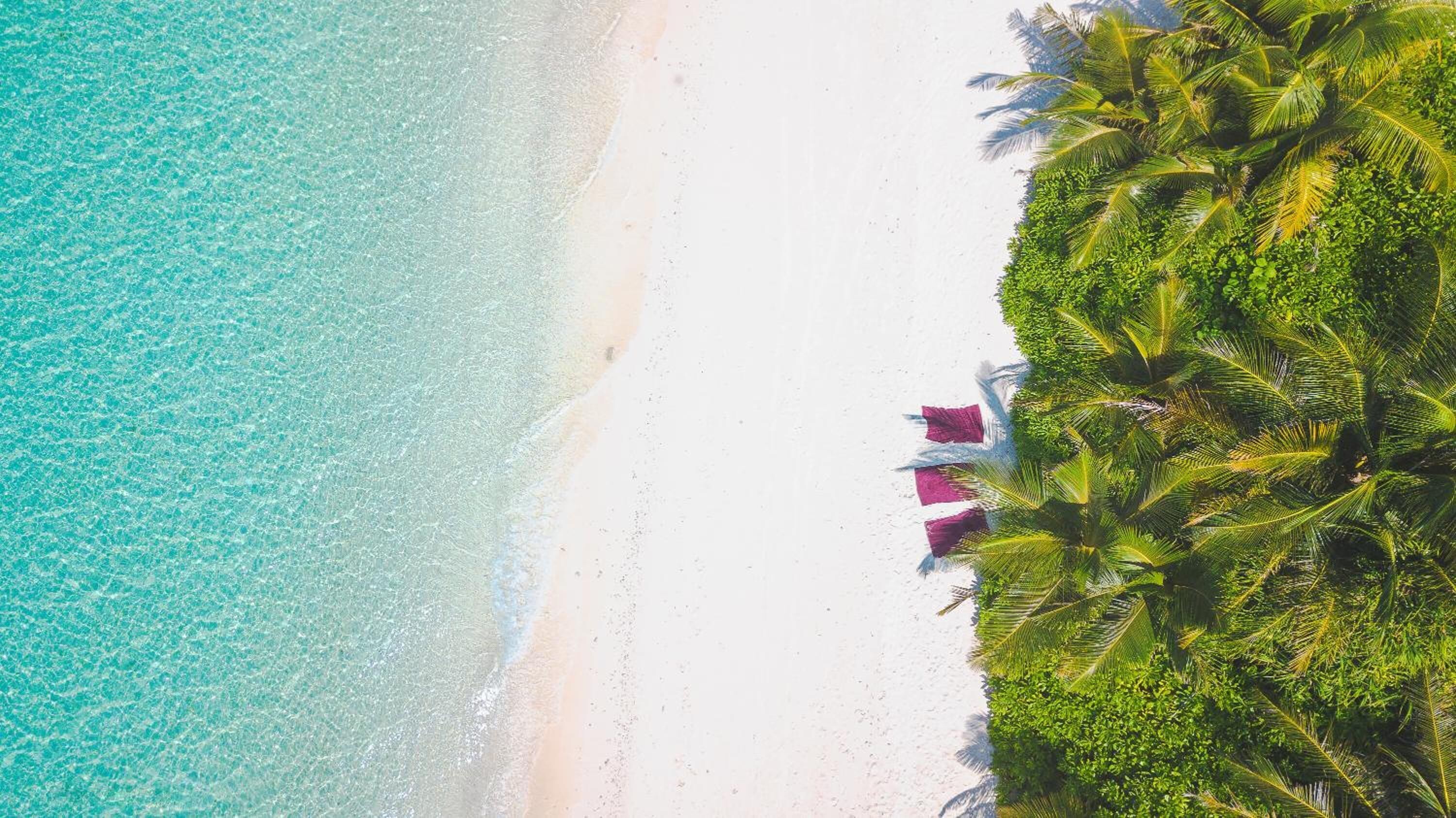 ビーチ、スキューバダイビング、シュノーケリング