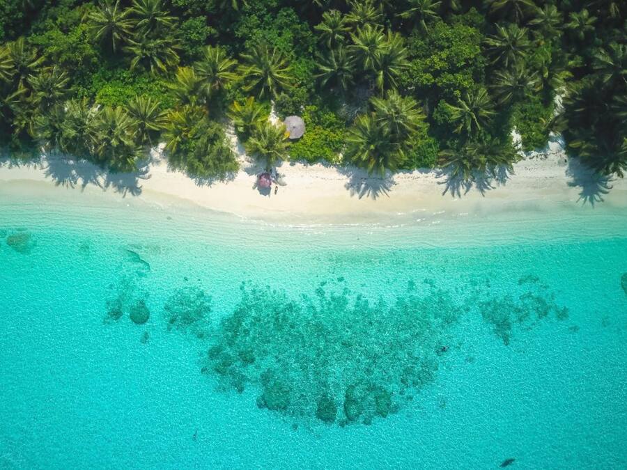 Di pantai, scuba diving, dan snorkeling