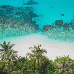Di pantai, selam skuba, bersnorkel