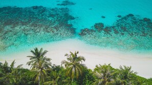 A la platja, submarinisme i immersió lleugera 