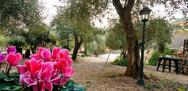 A garden with a pathway, trees, and a lamp post.