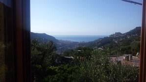 Vista desde una ventana con vistas al paisaje costero, edificios y vegetación.