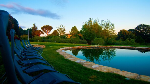 A serene outdoor setting with a stone-lined pond, lush greenery, and a row of blue plastic chairs.