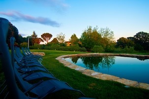 A serene outdoor setting with a stone-lined pond, lush greenery, and a row of blue plastic chairs.