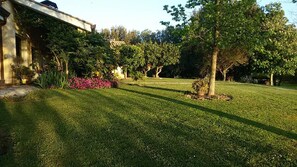 Garden - SunCave Gardens Naturist (Cerveteri)