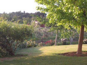 Vista desde la propiedad