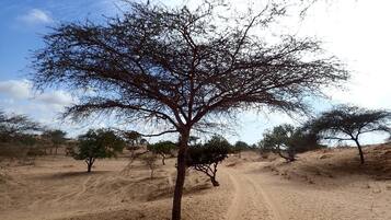 Enceinte de l’hébergement
