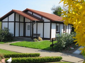 Unclassified image, 4 of 36, button