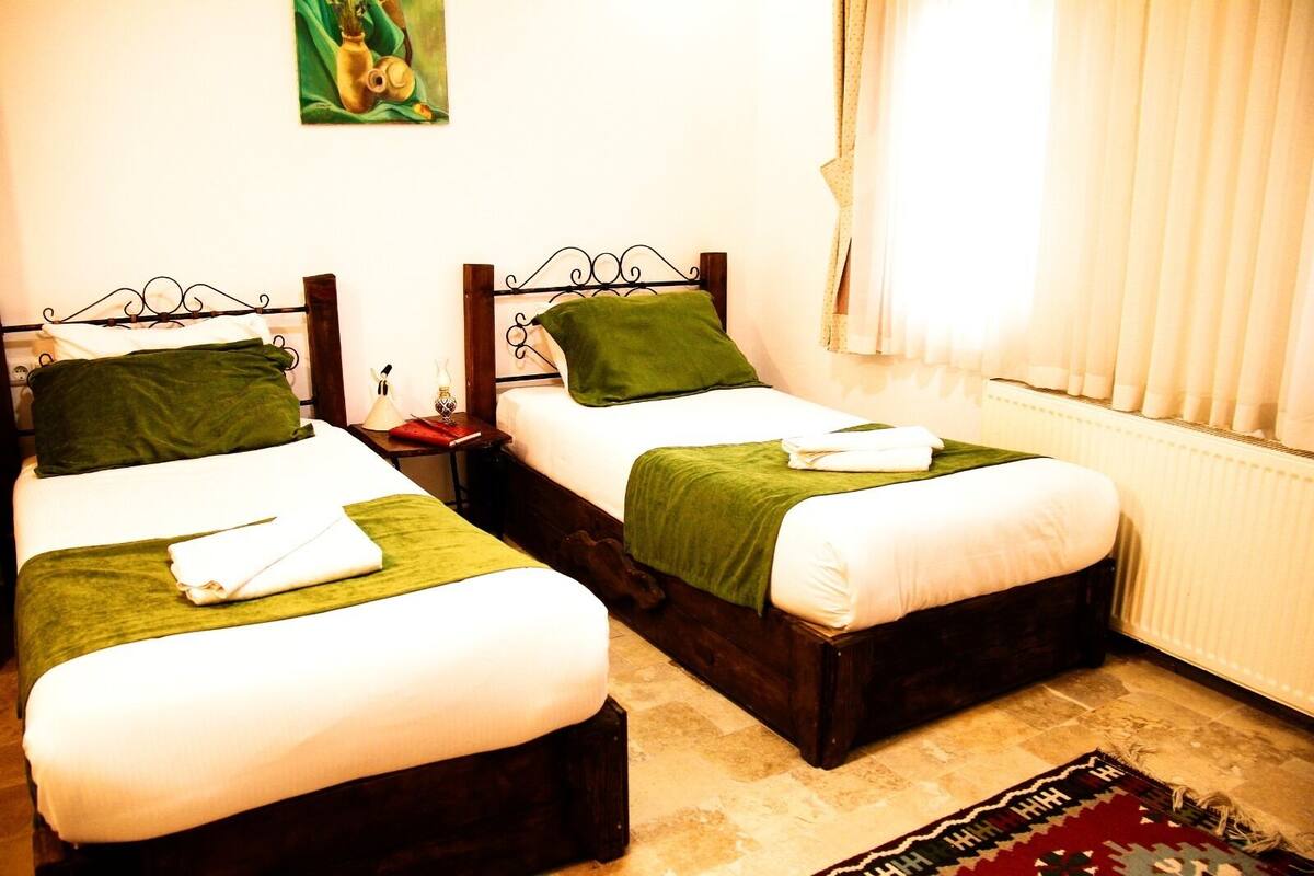 A room with two single beds, each with a green pillow and white linens. There is a nightstand with a lamp and a book on one bed. A window with curtains is visible, and a radiator is on the wall.