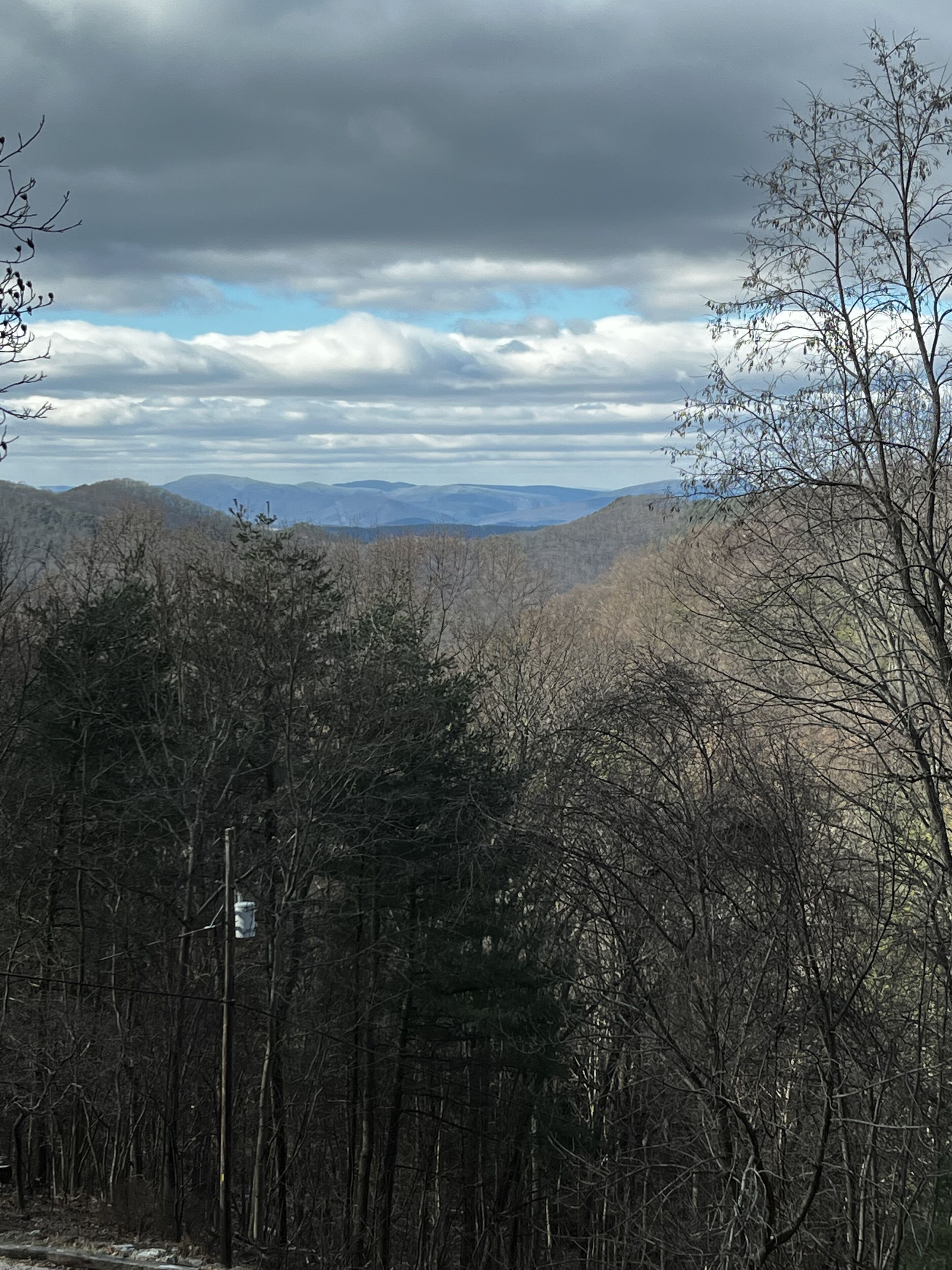 A forested mountain landscape with a clear view of distant mountains and a cloudy sky.