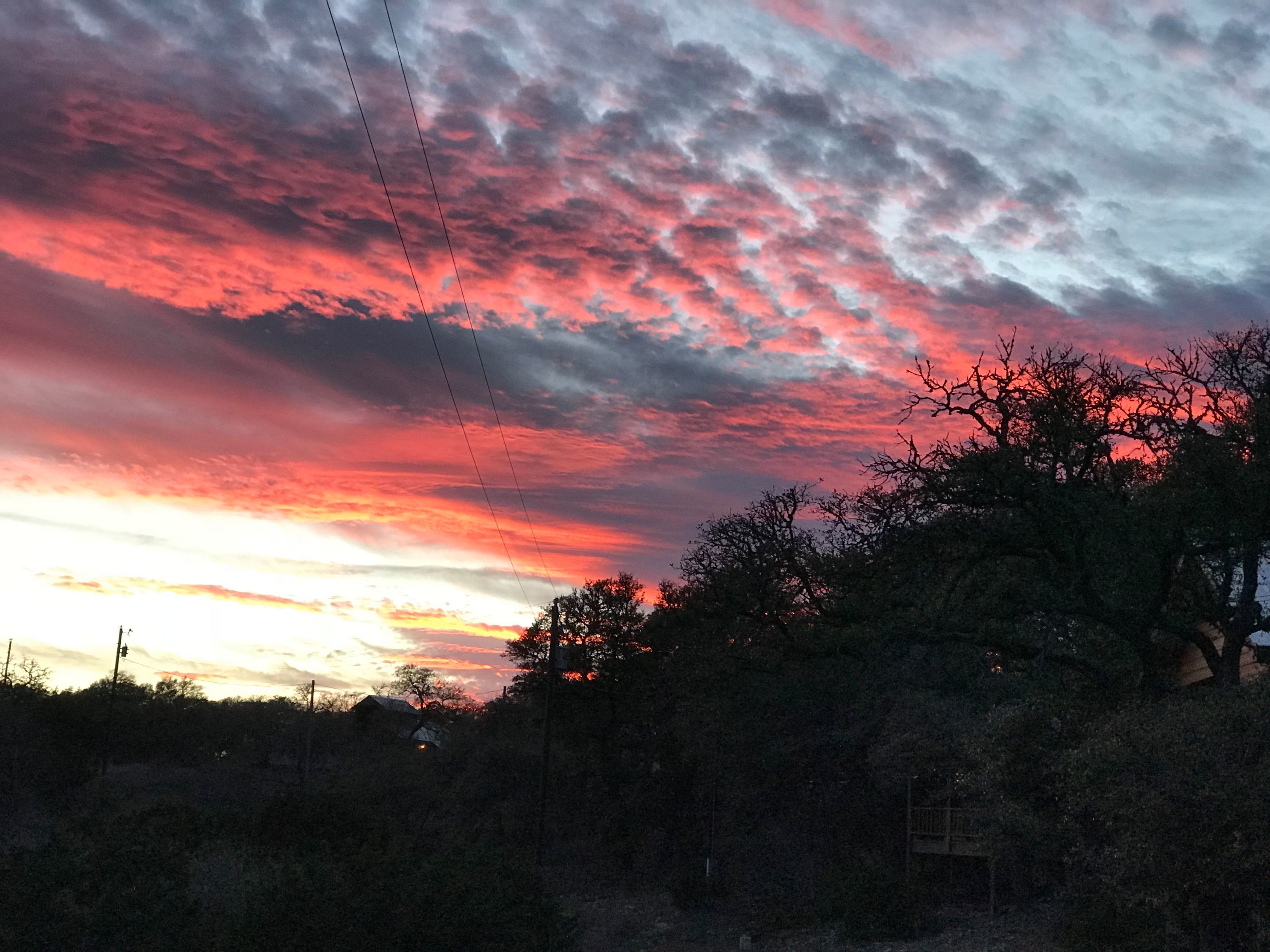 A sunset with a vibrant sky, silhouetted trees, and a distant building.