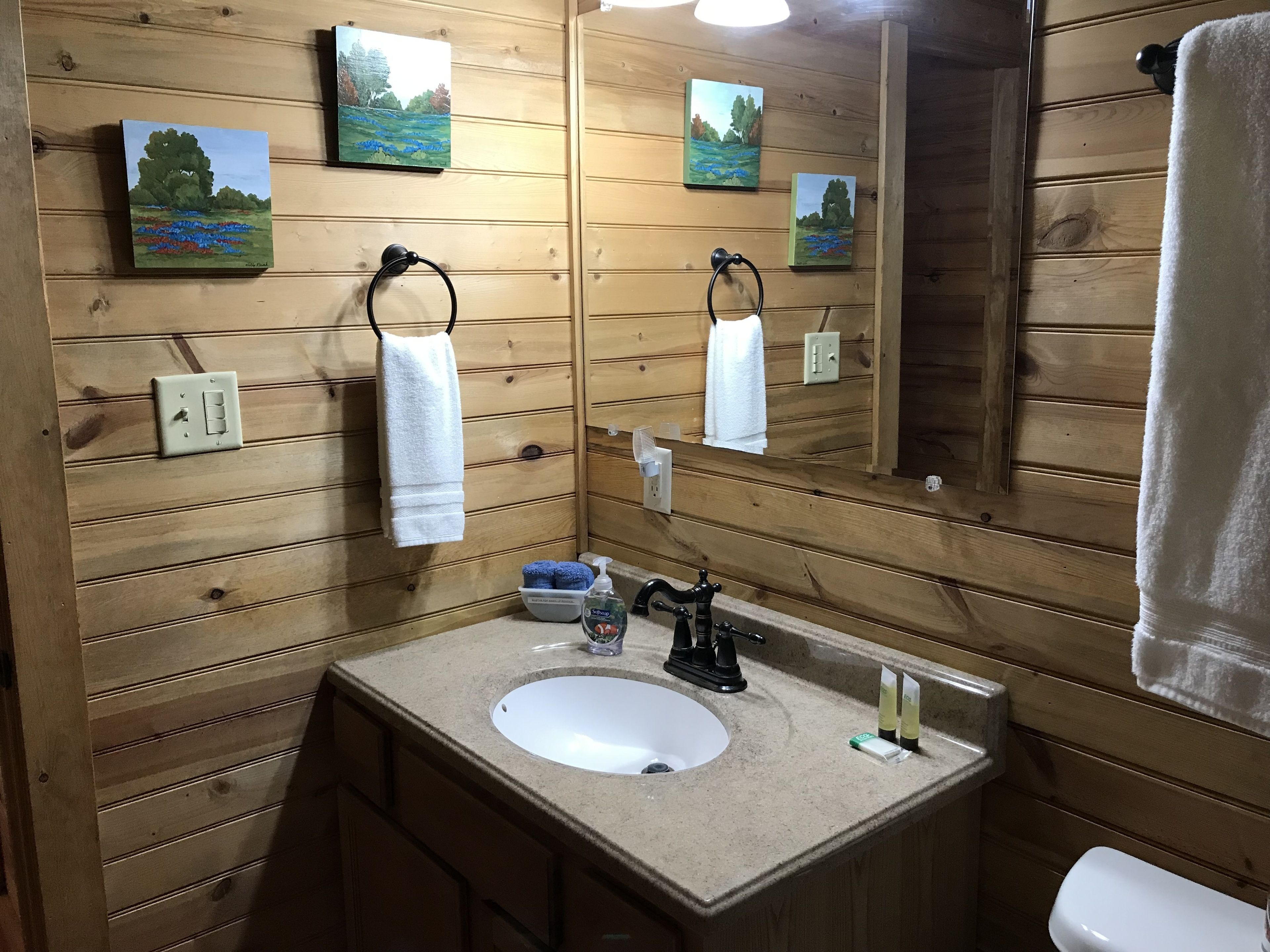 Ein Badezimmer einer Holzhütte mit Waschbecken, Spiegel und zwei Bildern an der Wand.