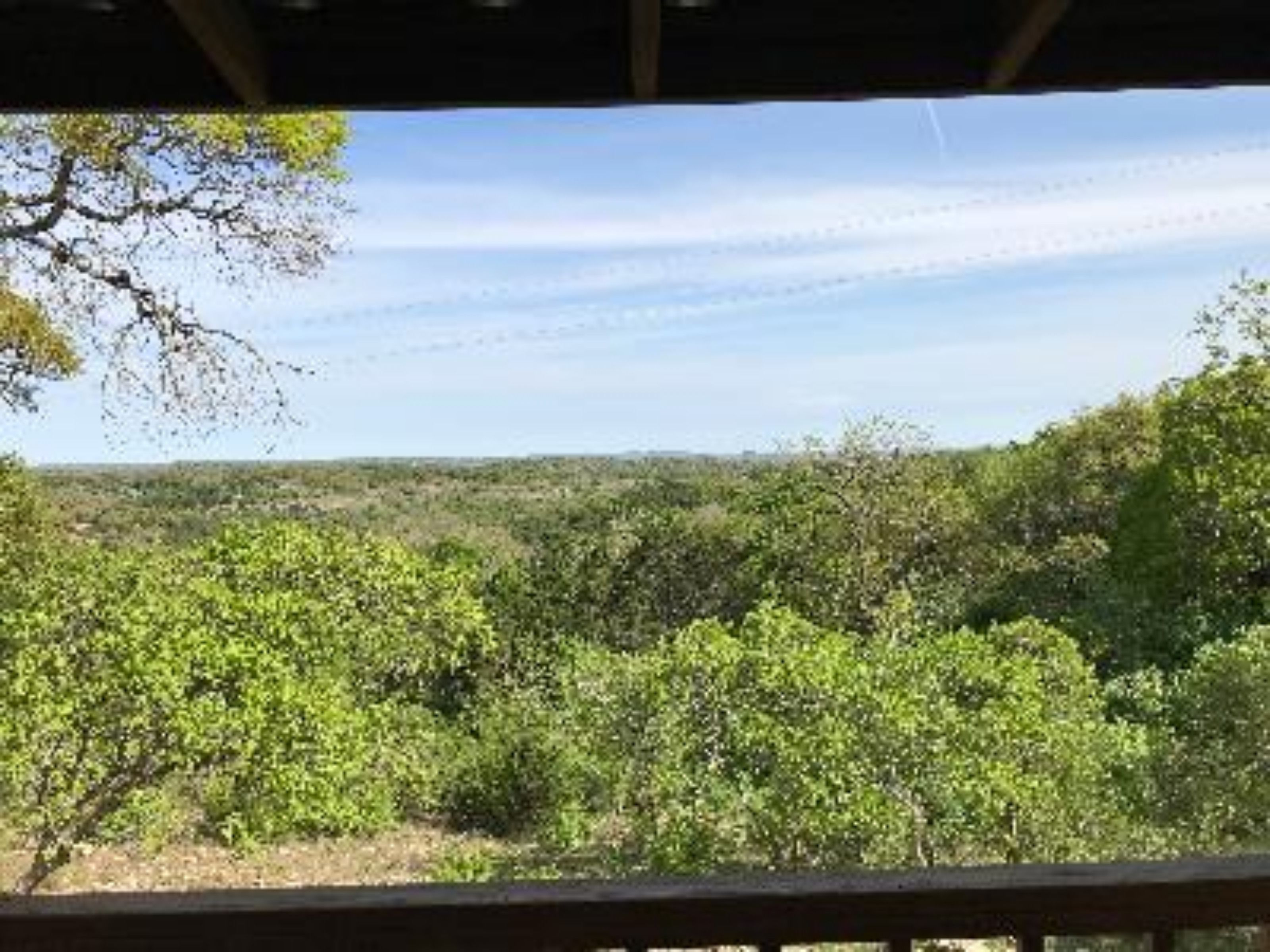 Vista desde un espacio al aire libre techado con barandilla de madera, sobre un bosque frondoso y un cielo despejado.