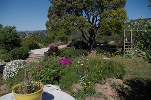 A garden with a variety of flowers and a large tree.