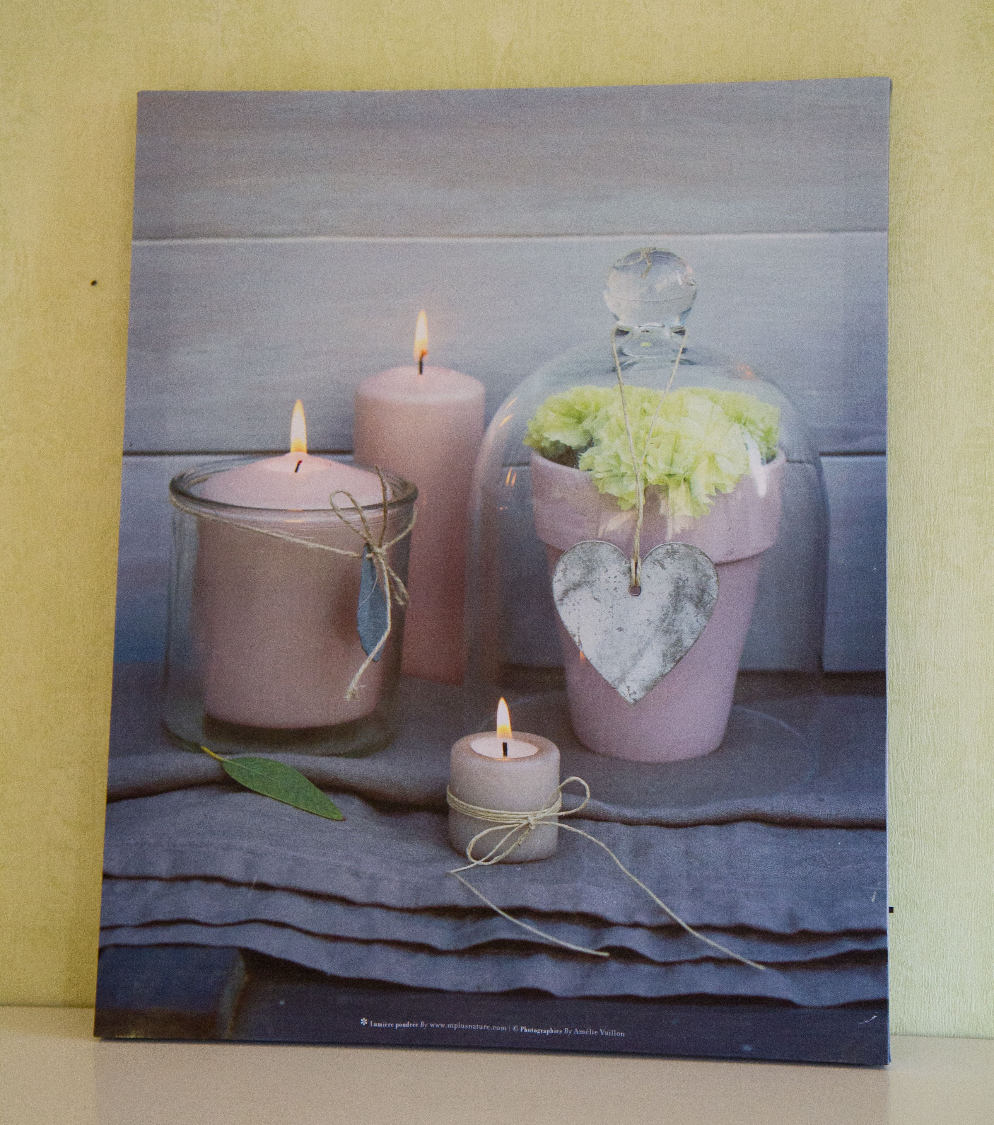 Fotografía de velas y una planta en maceta sobre una superficie con textura.