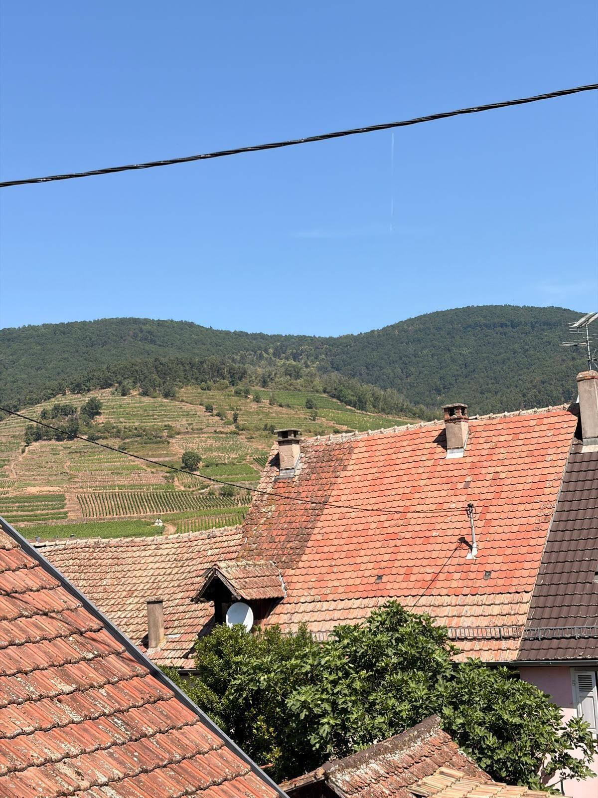 A rural landscape with terraced fields and a hill in the background.