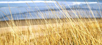 Apt with balcony sea view, 4 p., full SOUTH, 3 *.bien placé, près des commerces