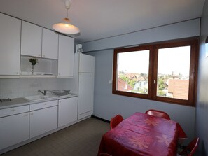 Fridge, microwave, oven, high chair - Cozy 2-room apartment with terrace, parking, pets allowed, close to lake (Annecy)