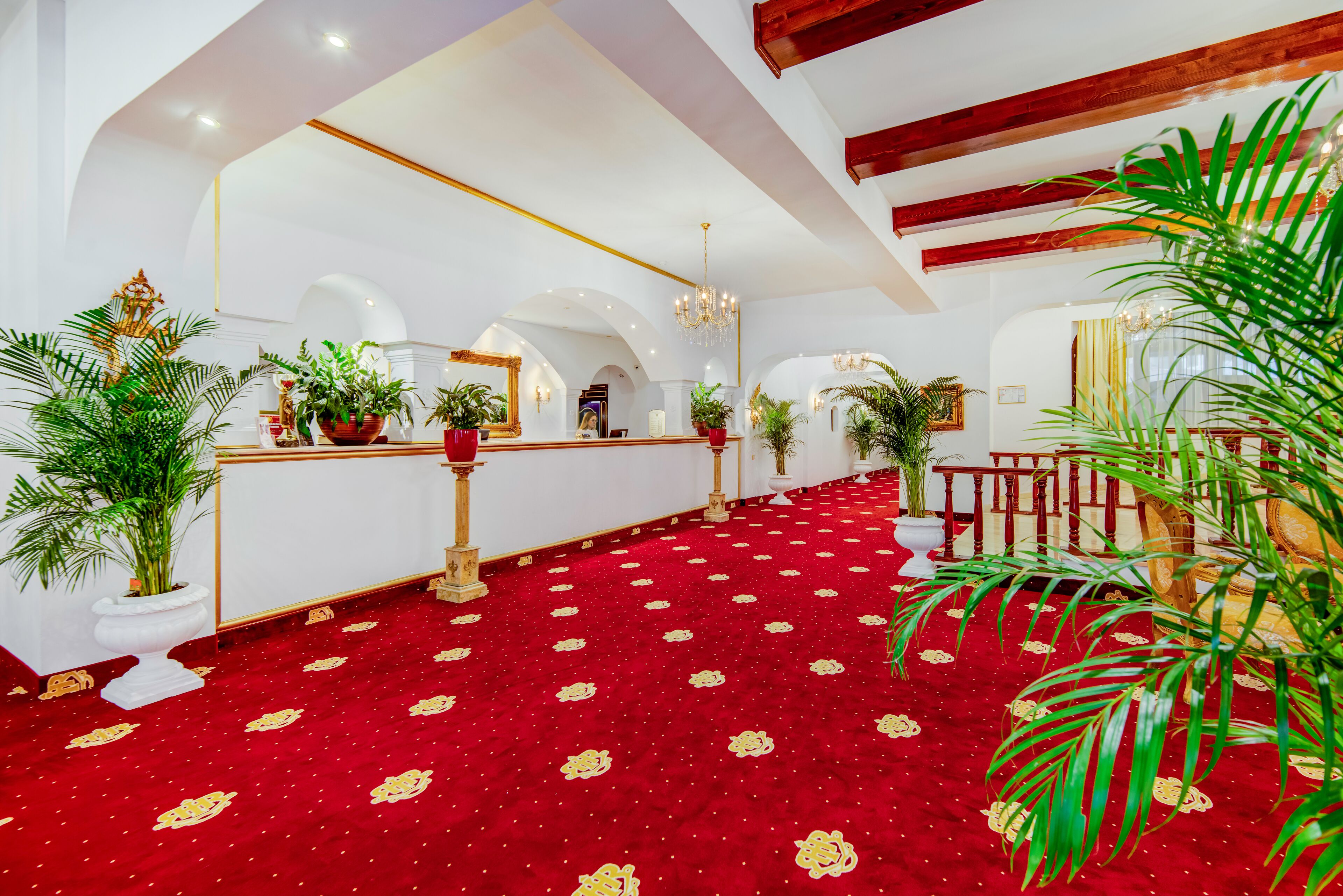 Foto - Hotel Aurelius Imparatul Romanilor