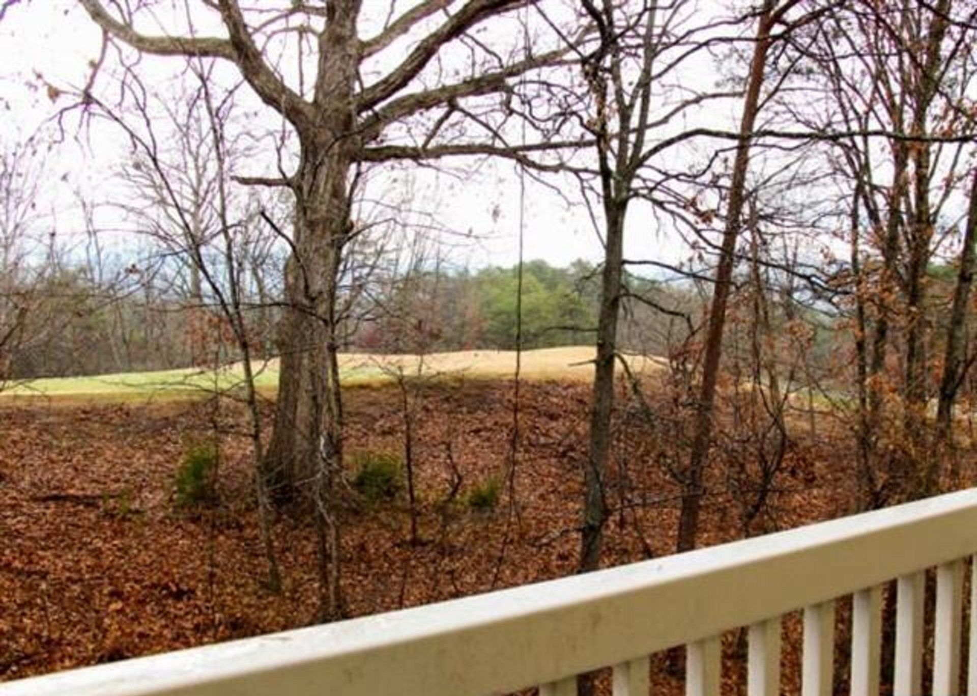 A view from a balcony with a railing, overlooking a leaf-covered ground and trees.