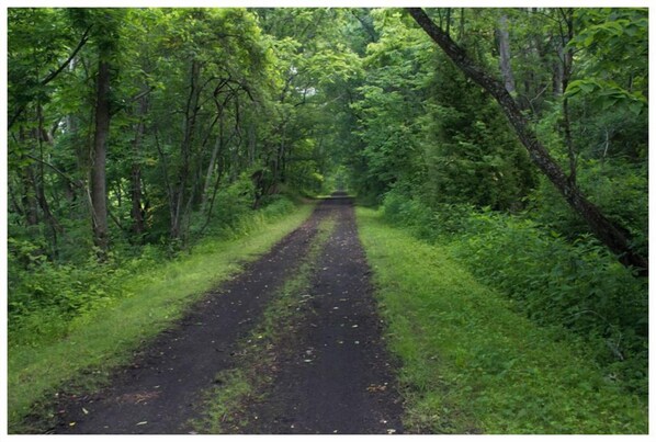 A narrow, unpaved path surrounded by dense greenery. - On 'The New River Trail' (Fries)
