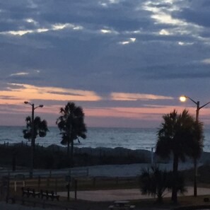 A coastal scene with palm trees, a fence, and a bench area. - LAKEFRONT, 5 BDRM, Ocean View! Quiet. Fish off deck. Just reduced Aug wks! (Myrtle Beach)
