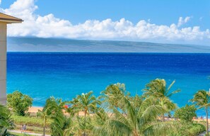 A coastal view with a clear sky, a sandy beach, and palm trees.