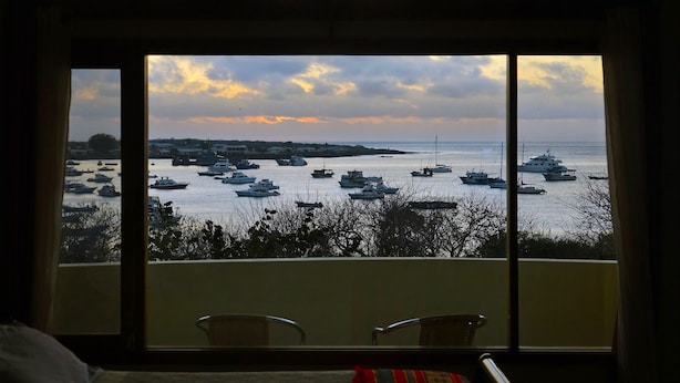 A room with a large window overlooking a marina with numerous boats. There are two chairs in the foreground. - Galeodan Bonito Suite - your home In Paradise (Puerto Baquerizo Moreno)