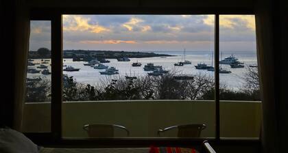 Galeodan Bonito Suite - Your Home In Paradise
