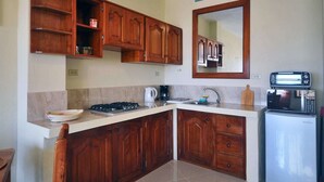 A compact kitchen with wooden cabinets, a gas stove, a microwave, and a refrigerator. - Galeodan Bonito Suite - your home In Paradise (Puerto Baquerizo Moreno)