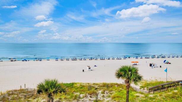 A beach with a sandy shore, a few palm trees, and a clear blue sky.