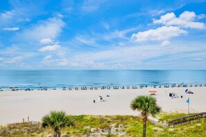 Ein Strand mit sandigem Ufer, einigen Palmen und wolkenlosem, blauem Himmel.