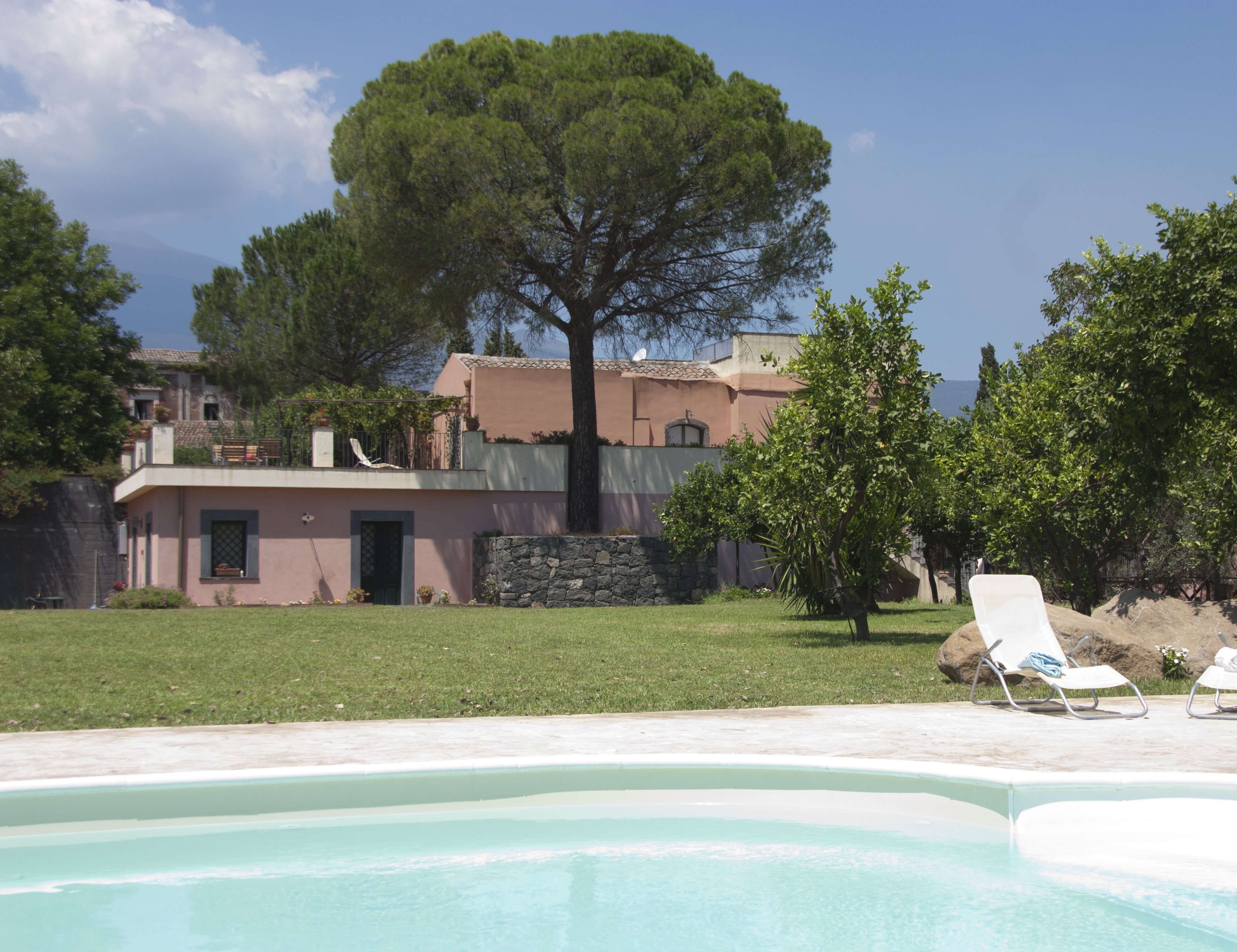 A pool area with a view of a house and a large tree.