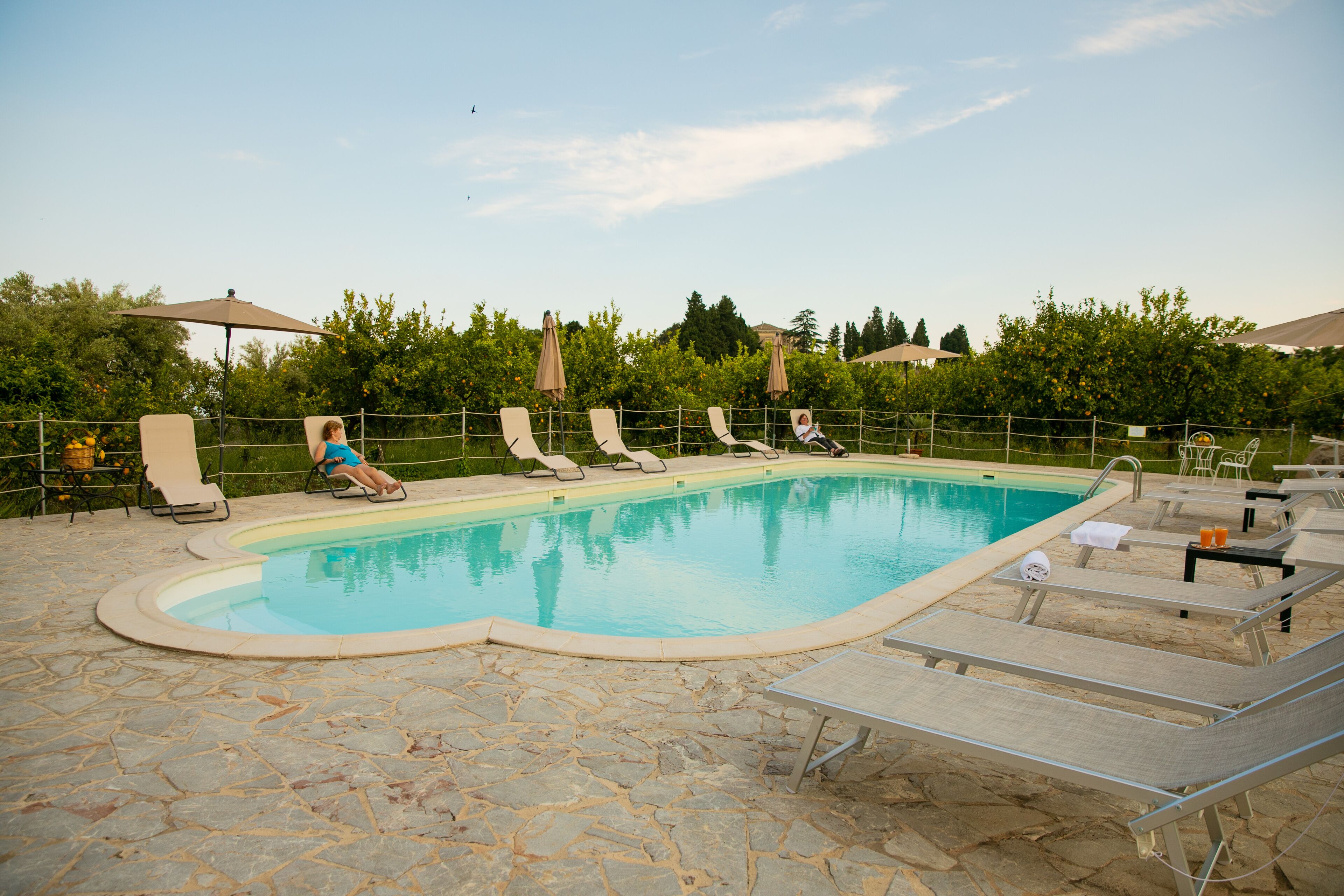 Piscina con lettini e ombrelloni, immersa nel verde.