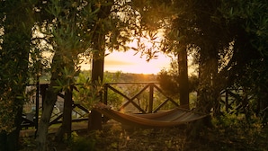Un hamac suspendu sous une structure en bois, offrant une vue sur le coucher du soleil.