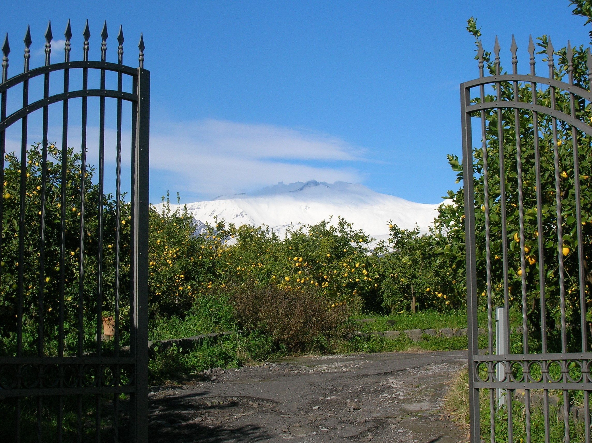 A gated entrance with a mountain in the background.