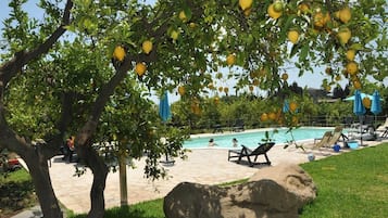 Piscine extérieure, parasols de plage, chaises longues