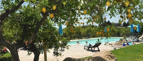 Piscine extérieure, parasols de plage, chaises longues