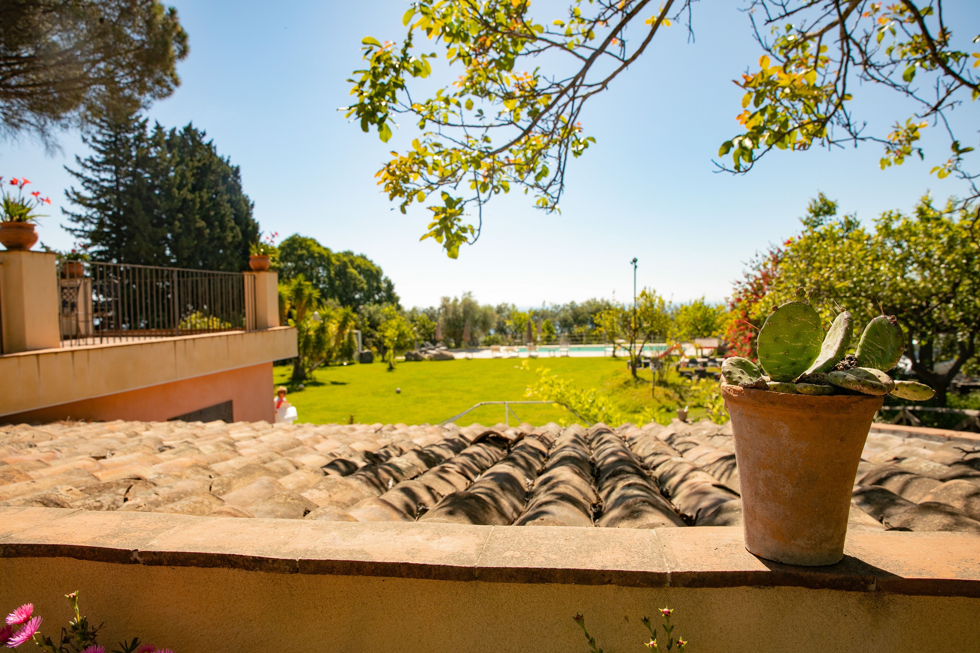 A rooftop terrace with a potted cactus, a tiled roof, and a view of a green park.